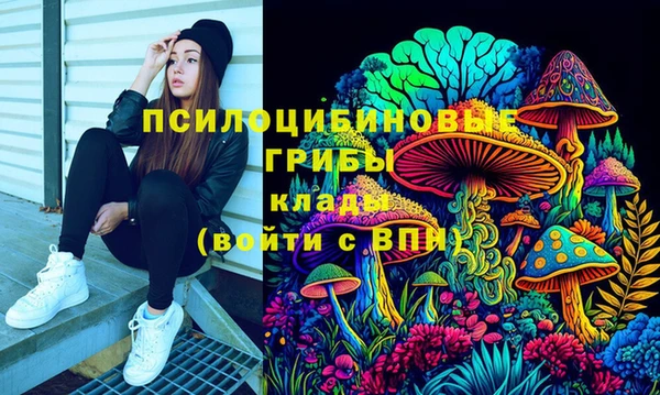 молекула духа Козельск