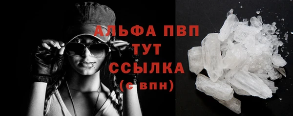 стафф Краснотурьинск
