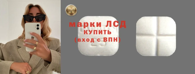 стафф Краснотурьинск