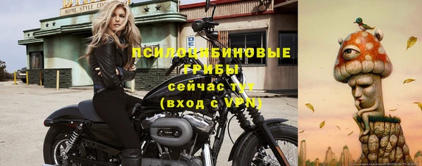 стафф Краснотурьинск