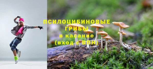каннабис Коряжма
